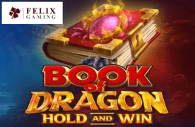 Book Dragon